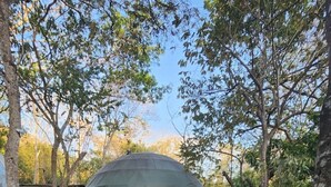 A geodesic dome structure surrounded by trees and a concrete pathway.