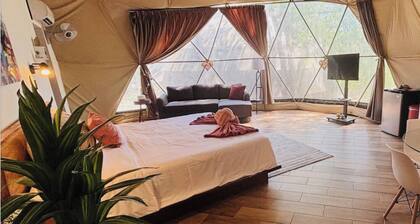 Unique Dome 8.1,AC,pool,400 yards to Beach,sleeps 4,Isla Tortuga,Bioluminescence