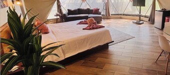 Unique Dome 8.1,AC,pool,400 yards to Beach,sleeps 4,Isla Tortuga,Bioluminescence