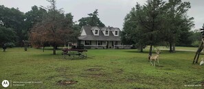 Property grounds - Rustic getaway on 3 acres - Only minutes from TEXS A&M University.  (Bryan)
