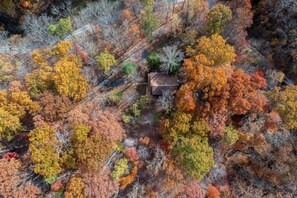 Vue aérienne d’une zone boisée avec un petit bâtiment entouré d’arbres aux couleurs automnales.