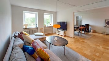Fernseher, Kamin