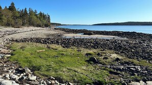 A rocky beach with a grassy area and trees in the background.