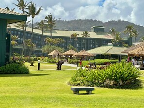 Terrain de l’hébergement 