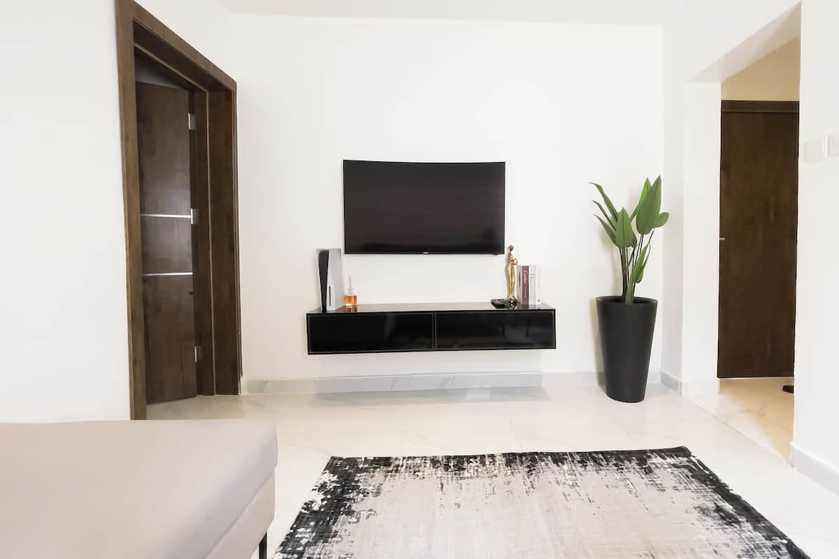 A modern living room with a black entertainment unit, a flat-screen TV, a potted plant, and a black and white rug.