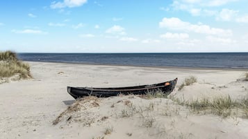Vlak bij het strand, vissen
