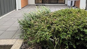 2 間臥室、遮光布/窗簾、熨斗/熨衣板、免費無線上網