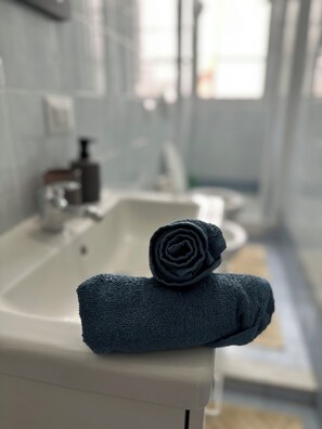 Secador de cabelo, sabonete, papel higiênico