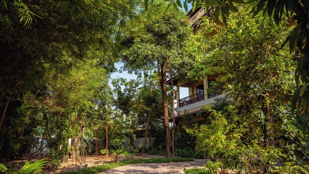 Un sendero bordeado de abundante vegetación y árboles, que lleva a un edificio con un balcón.