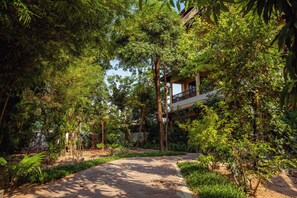 ファミリー トリプルルーム 2 ベッドルーム ガーデンビュー プールサイド | ガーデン ビュー