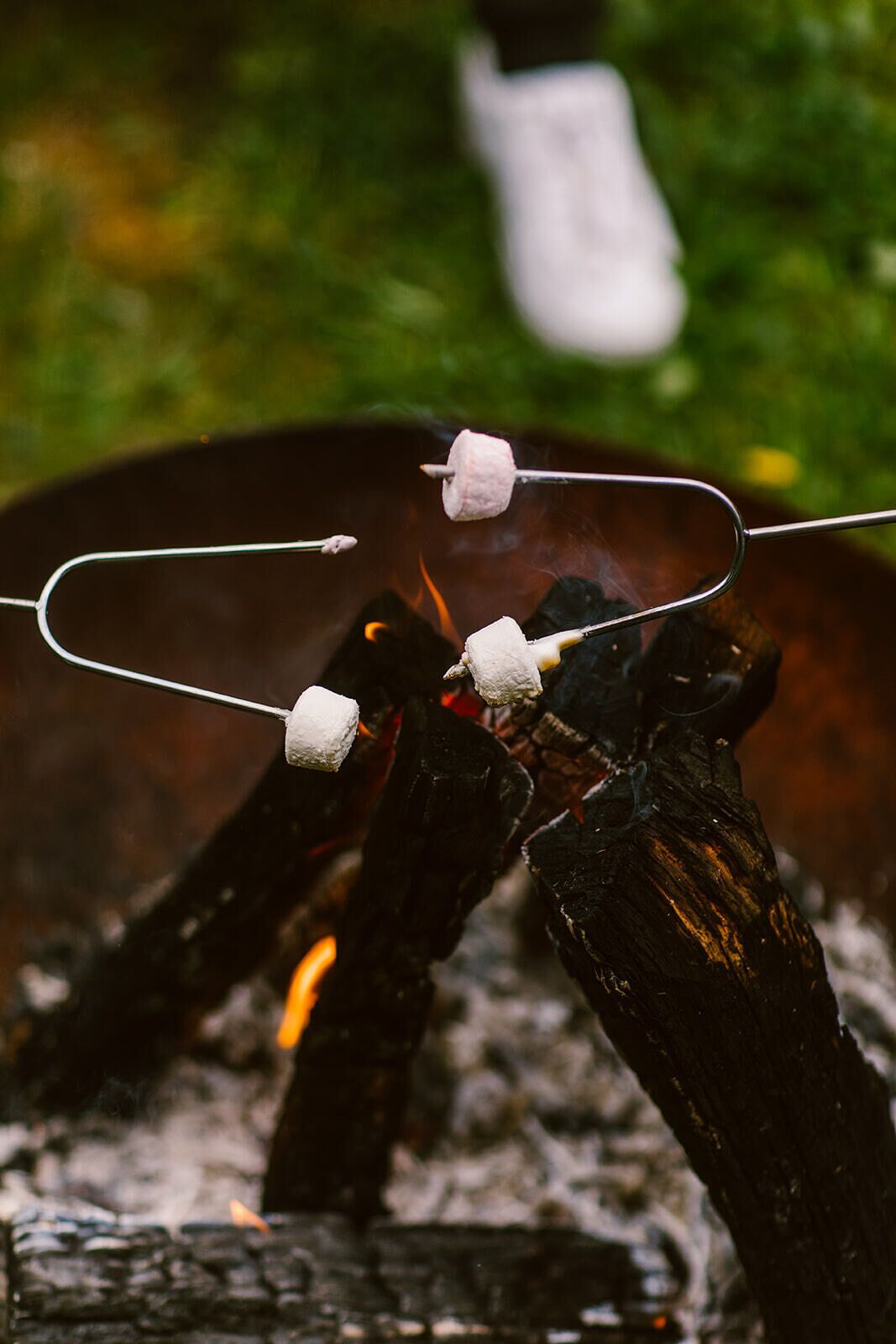 Ein Nahblick auf ein Lagerfeuer mit Marshmallows an Spießen.