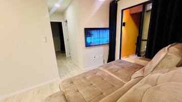 智能電視、壁爐、書籍