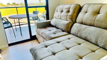 Smart TV, lareira, livros