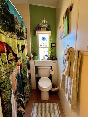 Hair dryer, towels, soap, shampoo