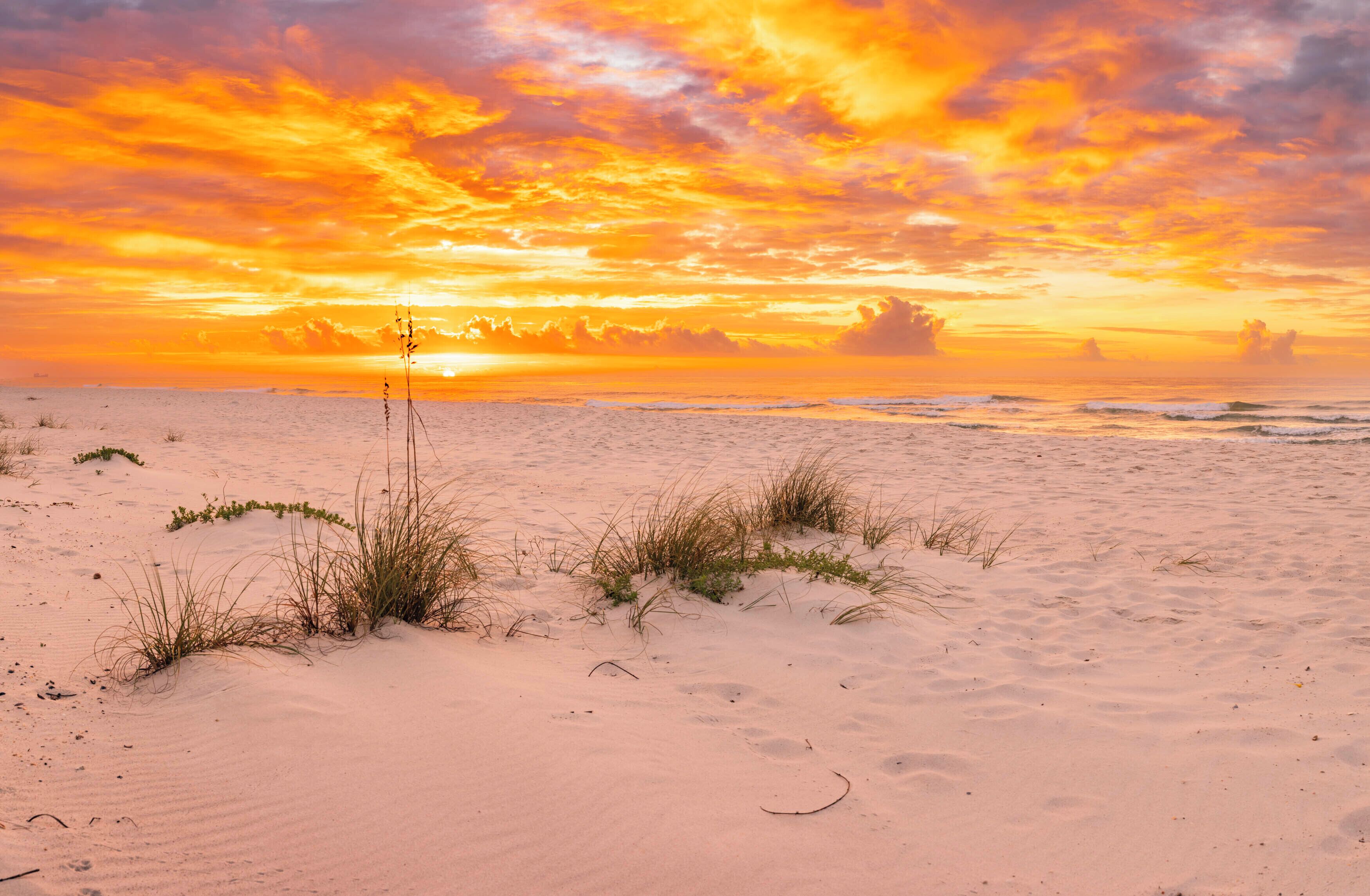 Bay Front/Private Beach/Pool/Kayaks/Paddle Boards/Ping Pong/Corn Hole/Fishing Reviews, Deals