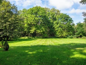 Unclassified image, 3 of 10, button