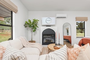 TV, fireplace, offices - Caroline's Cottage, Hot Tub, Fireplace, Fire pit! (Fredericksburg)