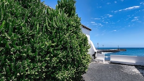 A coastal building with a white exterior and a cactus garden.