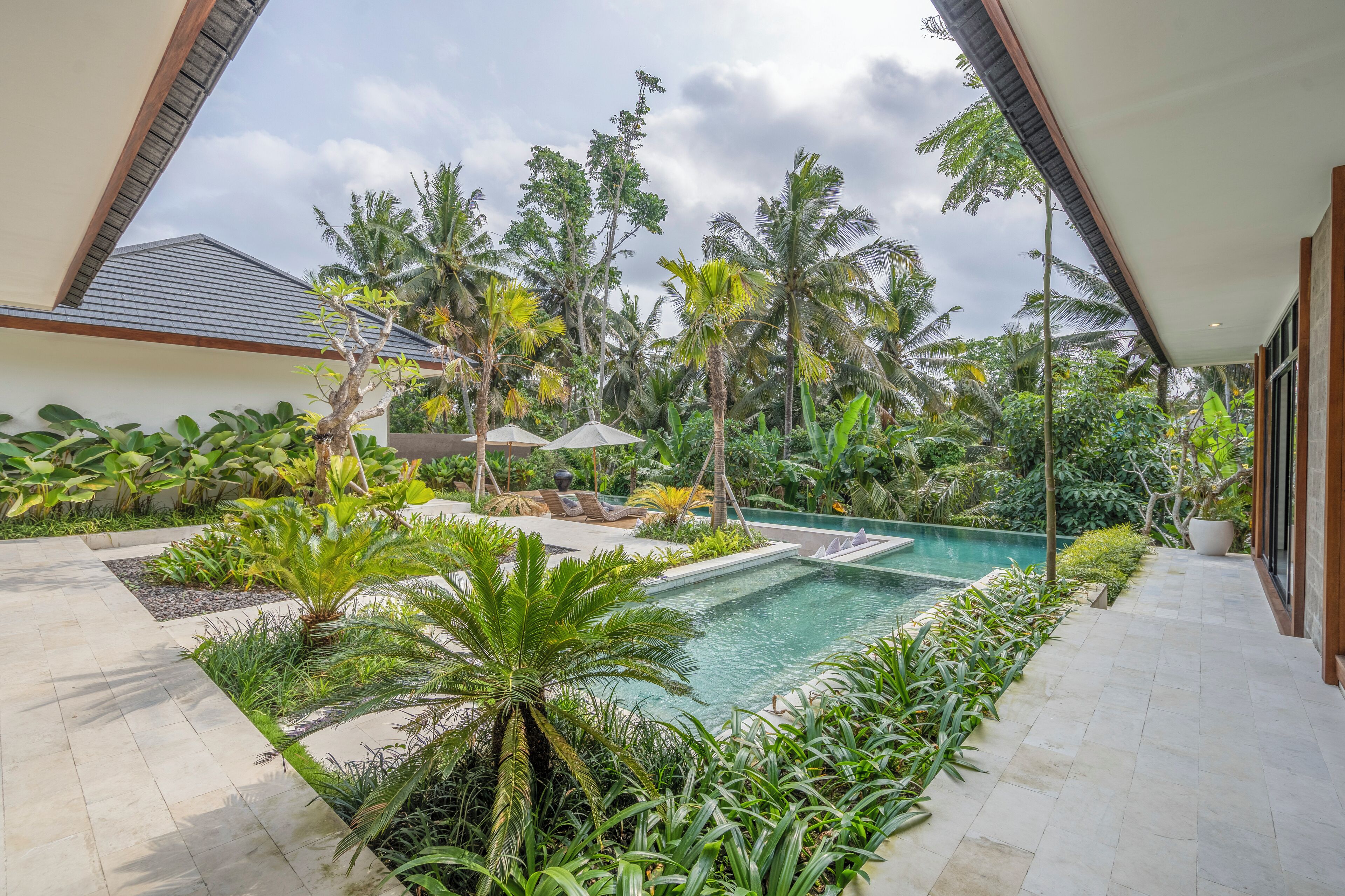 A pool surrounded by lush tropical plants and palm trees, with a modern building in the background.
