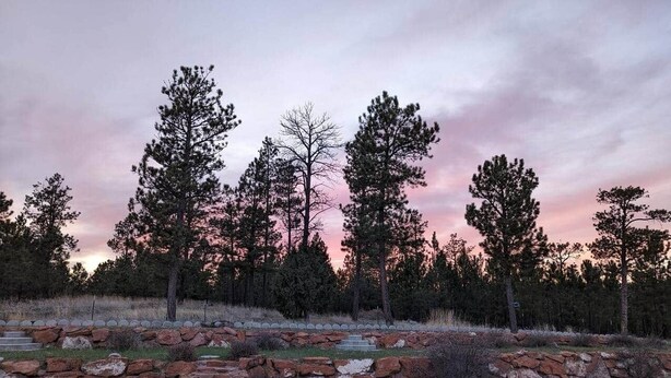 Un sentier de pierres qui traverse un paysage naturel, avec des arbres et un ciel au coucher du soleil.