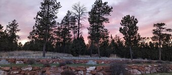 Vintage Presidential Suite - Room 203