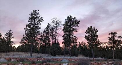Vintage Presidential Suite - Room 203
