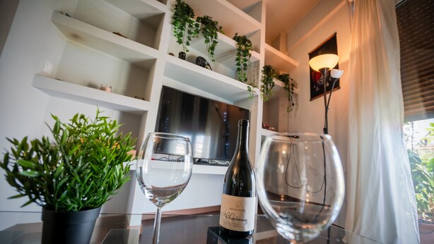 Een fles wijn en glazen op een tafel met een kamerplant, planken met decoratieve objecten en een televisie in een moderne woonkamer.