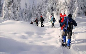 A group of people hiking in a snowy landscape with trees in the background. - Mt Green Quick Walk to Lift Pool Sauna hot tub (Killington)