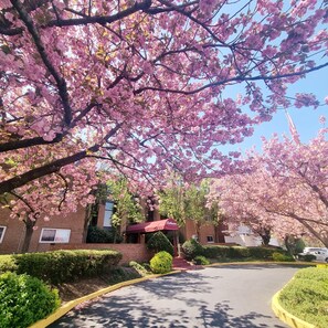 Apartment, Accessible | 2 bedrooms - Amazing 2 Bedroom 2 Bath Condo (Elkins Park)