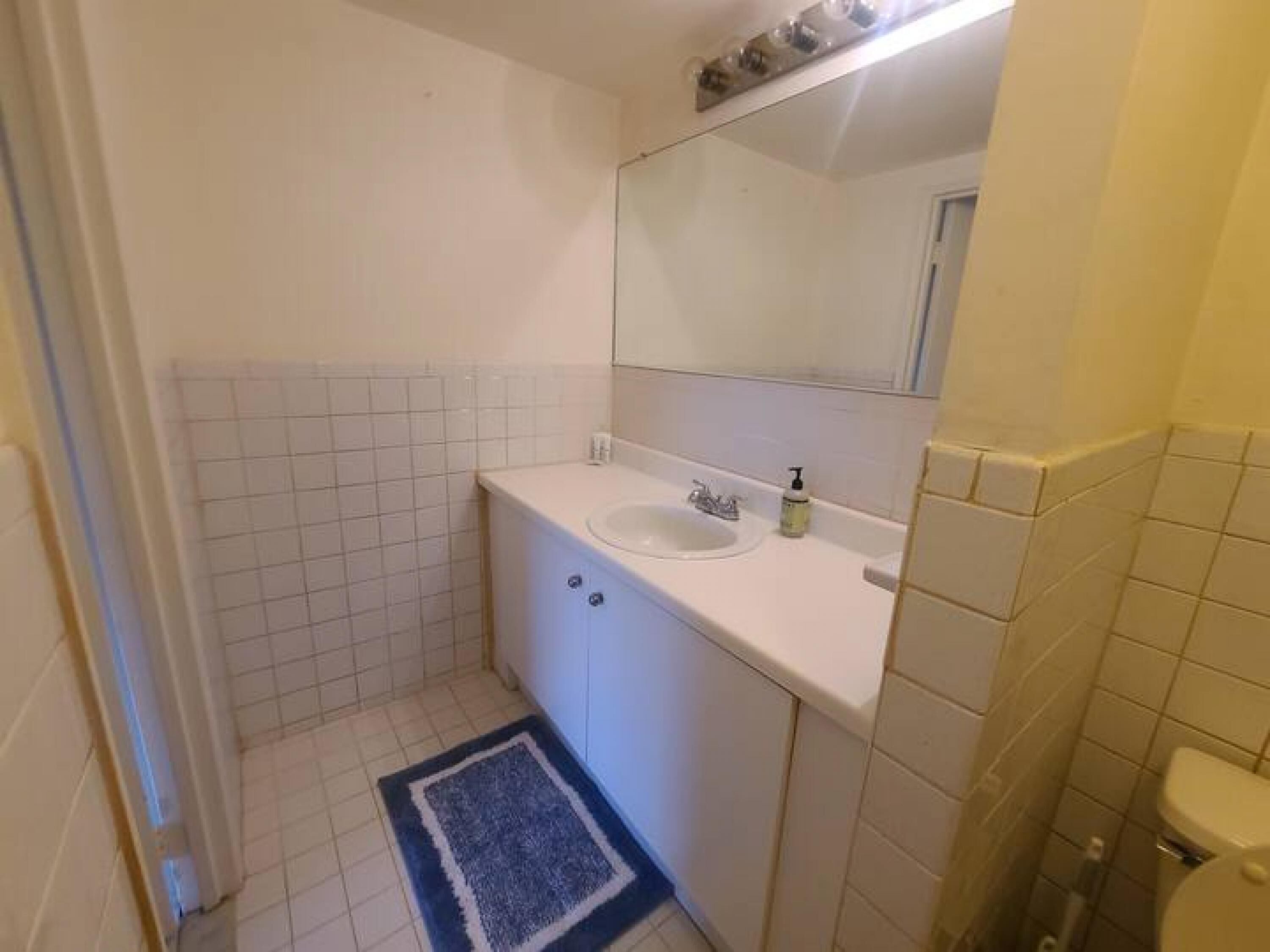 Een kleine, schone badkamer met een wit wastafelmeubel, spiegel en toilet.