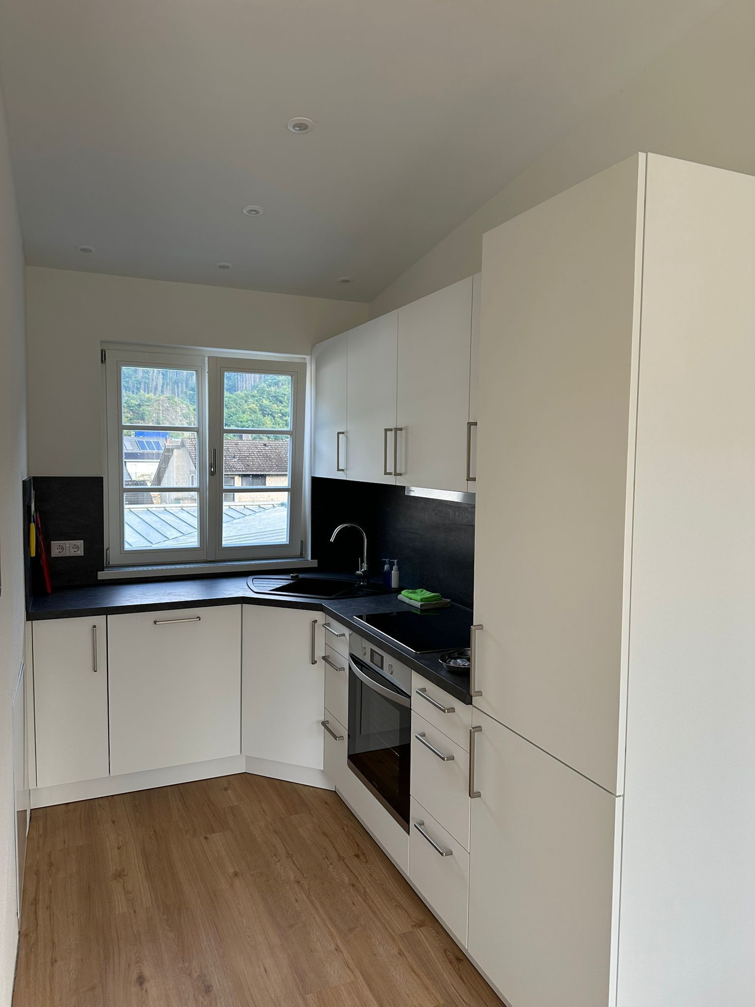 Ofen, Herdplatte, Geschirrspüler