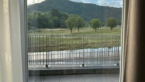 Vista desde una ventana con baranda metálica, sobre un área verde con árboles y una colina distante.