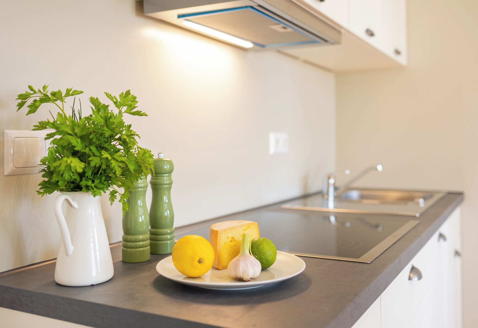 Refrigerador, parrilla de estufa, lavavajillas y cafetera y tetera 