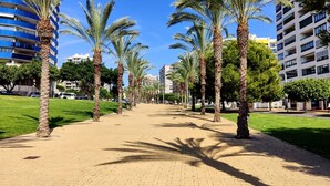 Une promenade dallée bordée de palmiers et de bâtiments modernes.