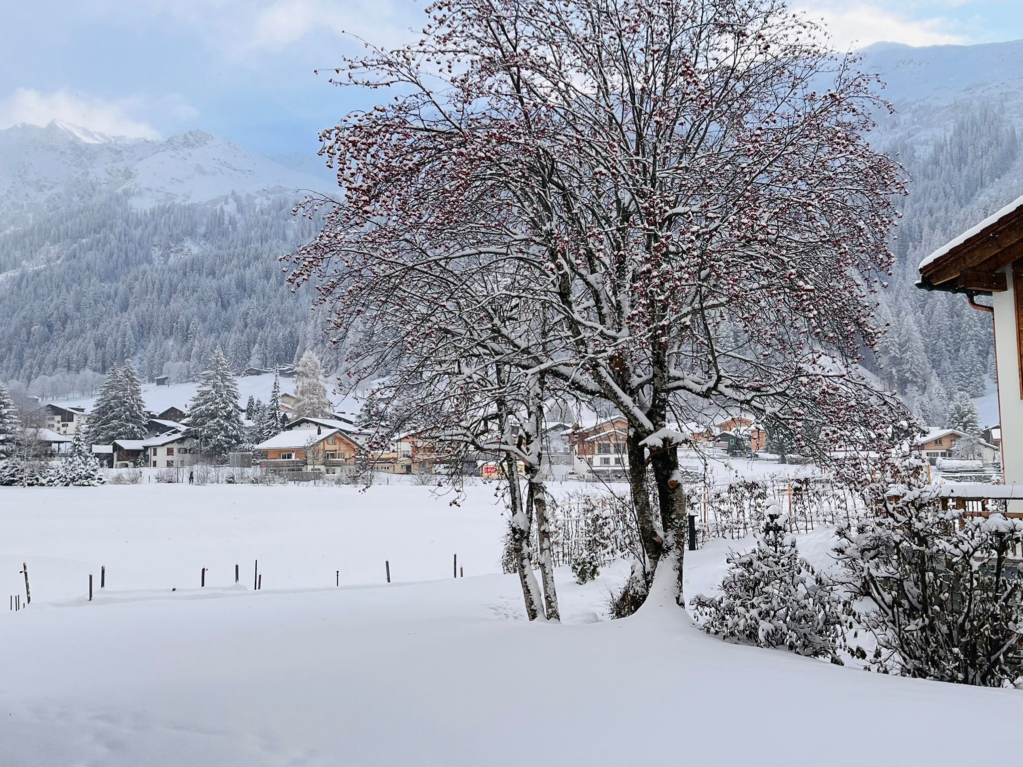 Enceinte de l’hébergement