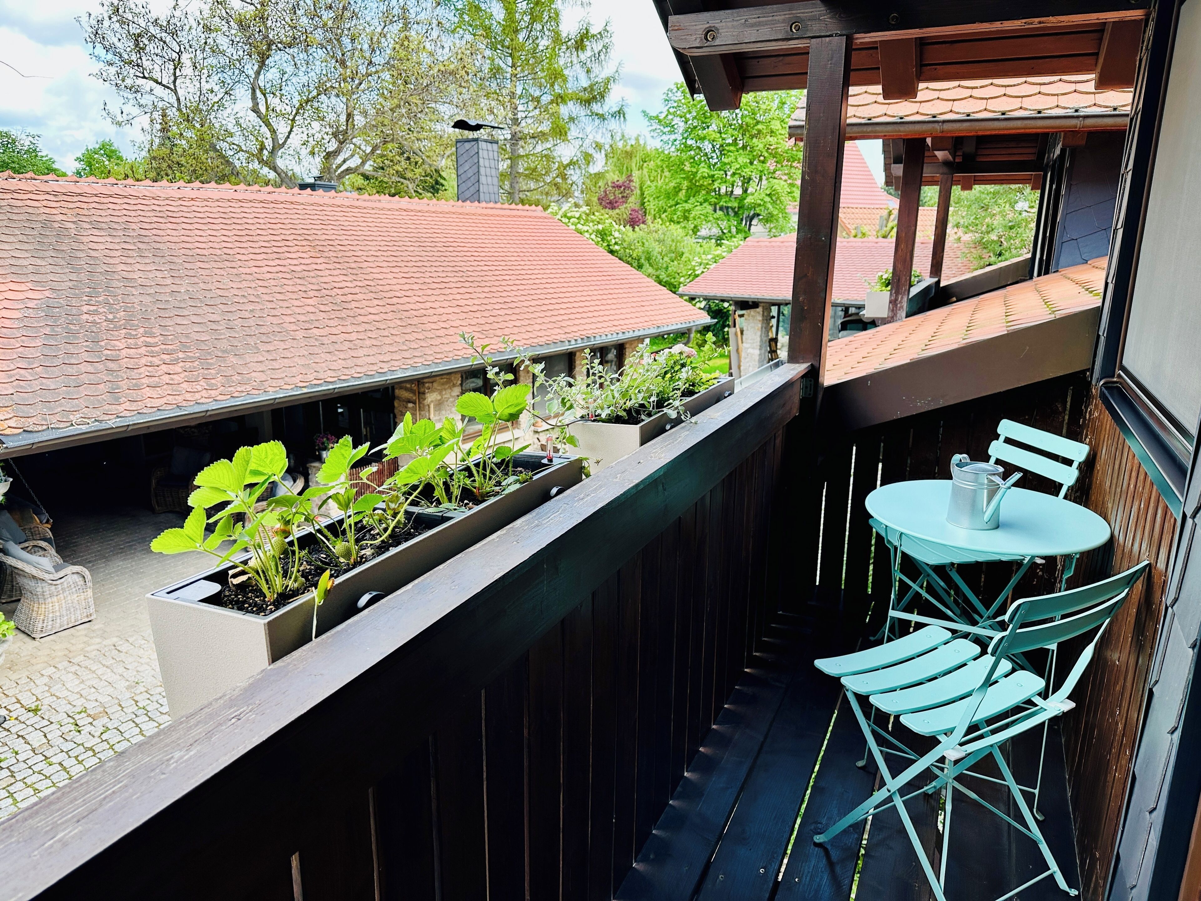 Studio Urpflanzen | Balkon