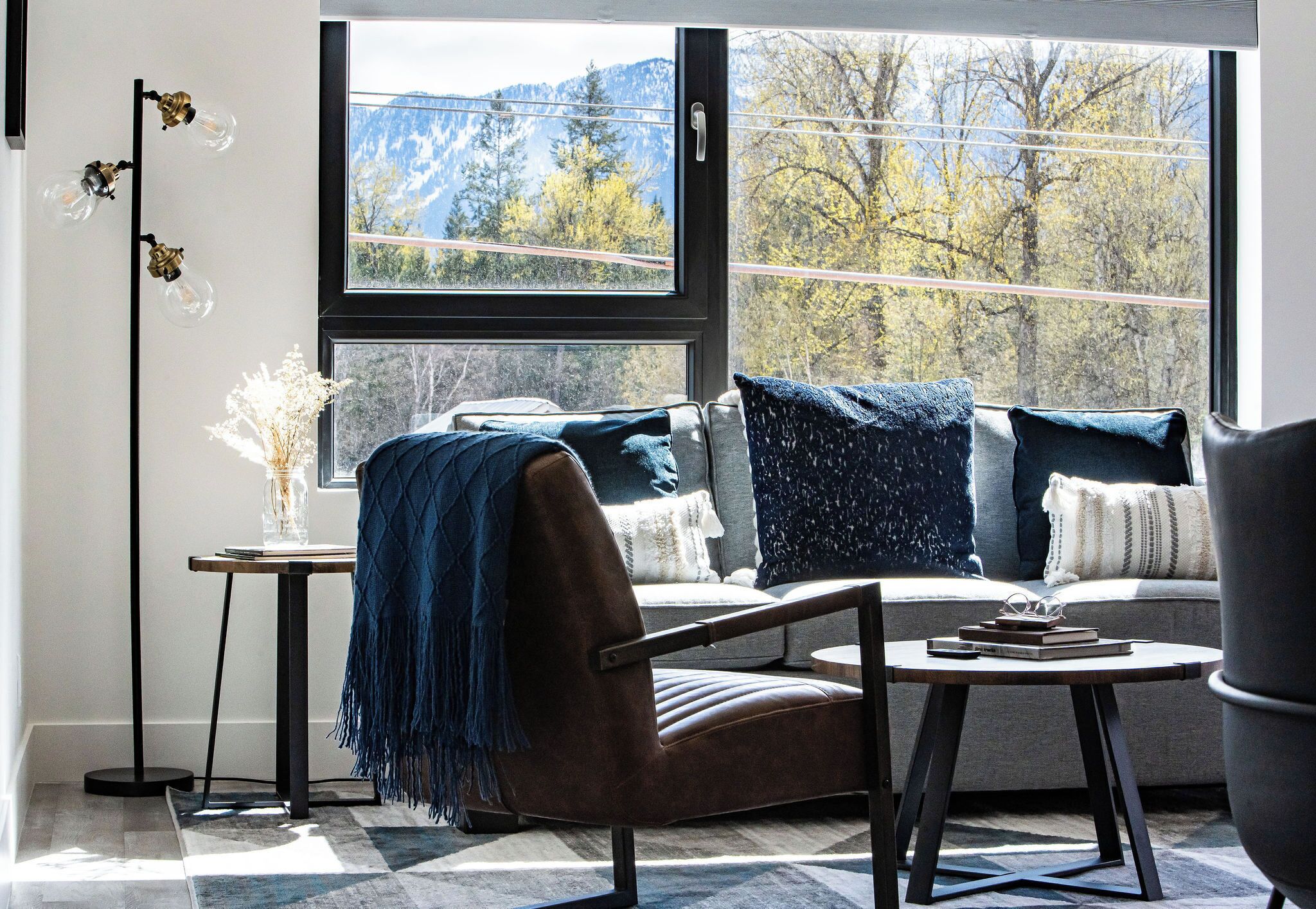 TV connectée, cheminée