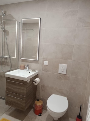 Eco-friendly toiletries, hair dryer, towels