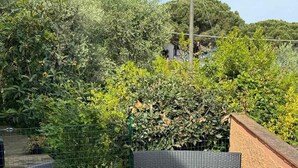 En uteplats med flätade möbler, ett bord med en vas med blommor och ett stengolv.