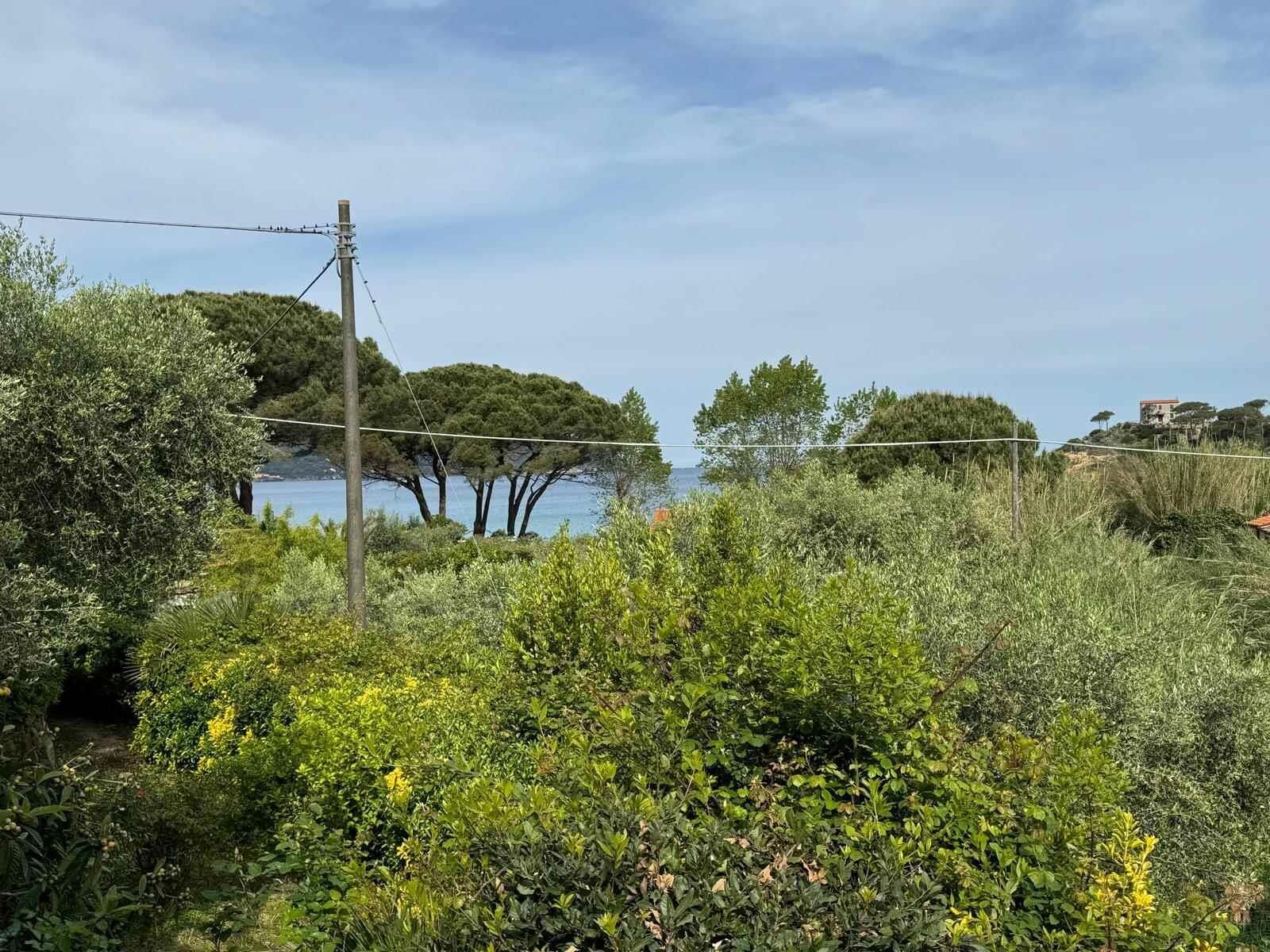 Paesaggio rigoglioso con vegetazione fitta, una linea elettrica e una vista lontana su un corpo d'acqua e edifici.