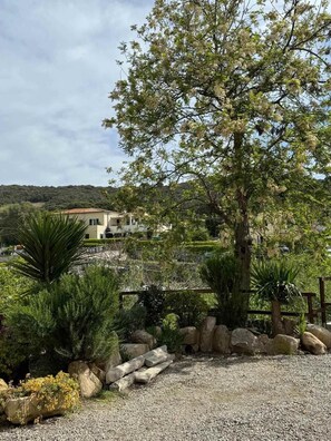 Área da propriedade