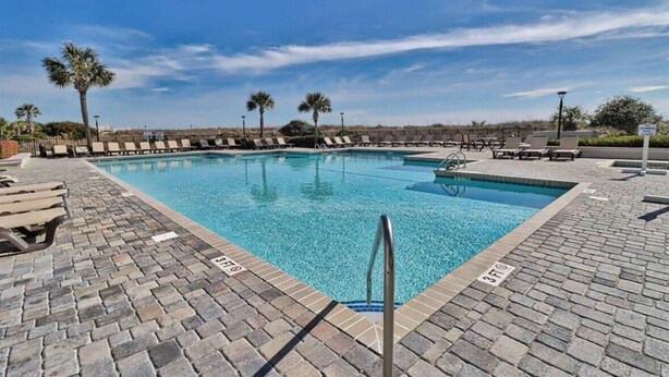 A rectangular pool with a tiled edge, surrounded by lounge chairs and palm trees.