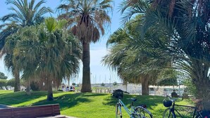 Un parc avec des bancs, des vélos et des palmiers.