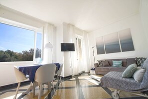 Fernseher, Computerbildschirme