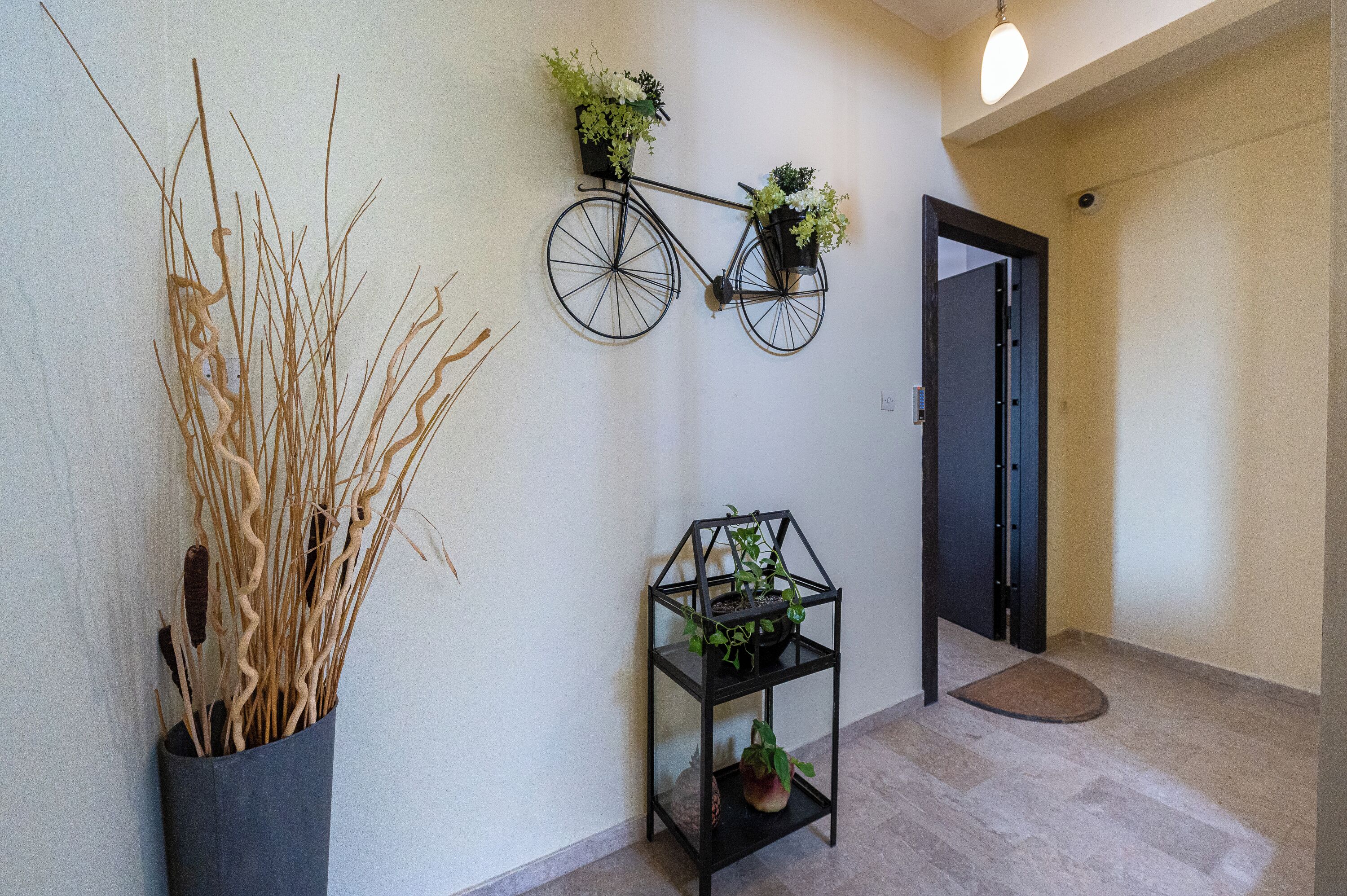 Um corredor com um vaso de bicicleta fixado na parede, uma pequena estante com plantas em vasos e um vaso alto com juncos.