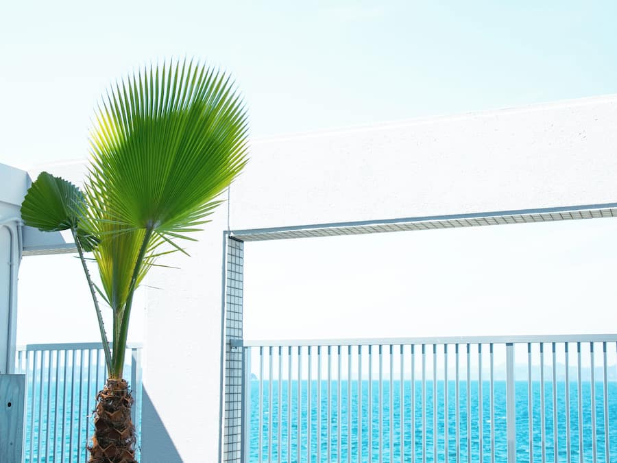 Habitación superior, lanai, vistas al mar | Vistas al mar