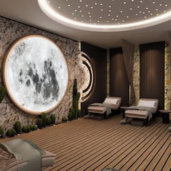 Lounge executive