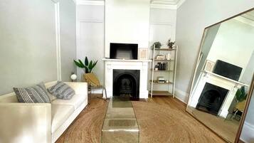 Smart TV, fireplace, books