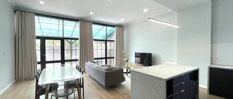 Smart TV, fireplace, books