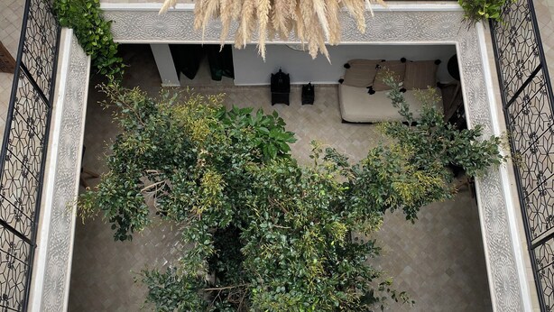 Un jardin sur le toit agrémenté de plantes suspendues, d’un espace salon et d’un escalier menant à un niveau supérieur.